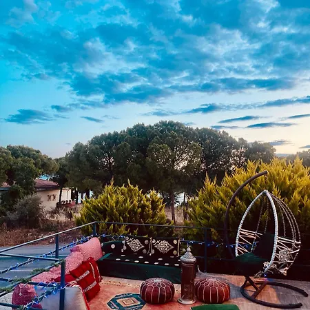 Adil ディディム